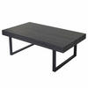 COUCHTISCH rechteck Schwarz - Schwarz, Holz (60/110/40cm) - MCW