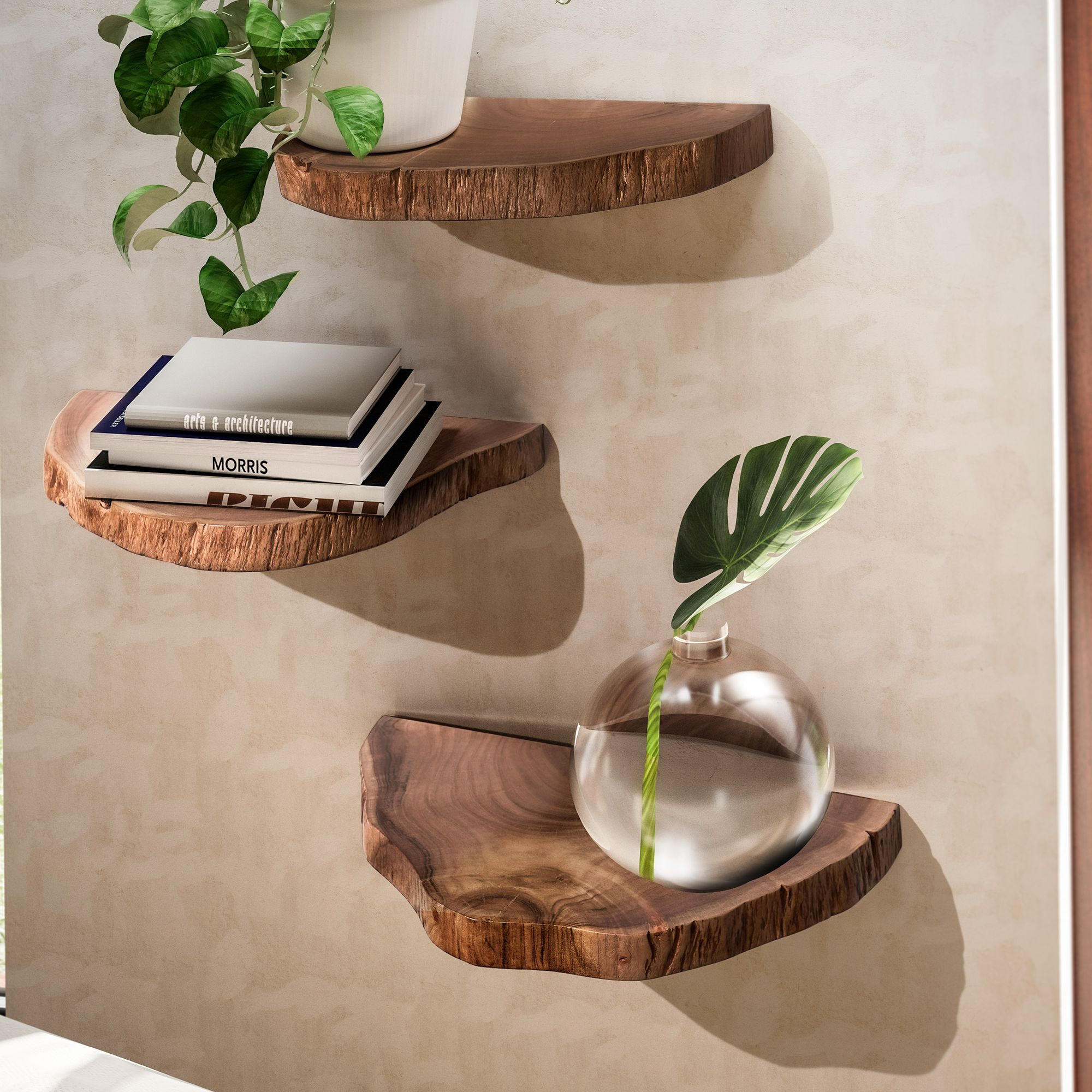 WANDREGAL Akazie Massivholz Modern Stil 3er Set Baumscheibe mit Baumkante - Akaziefarben, Holz (47/4/25cm) - KADIMA DESIGN