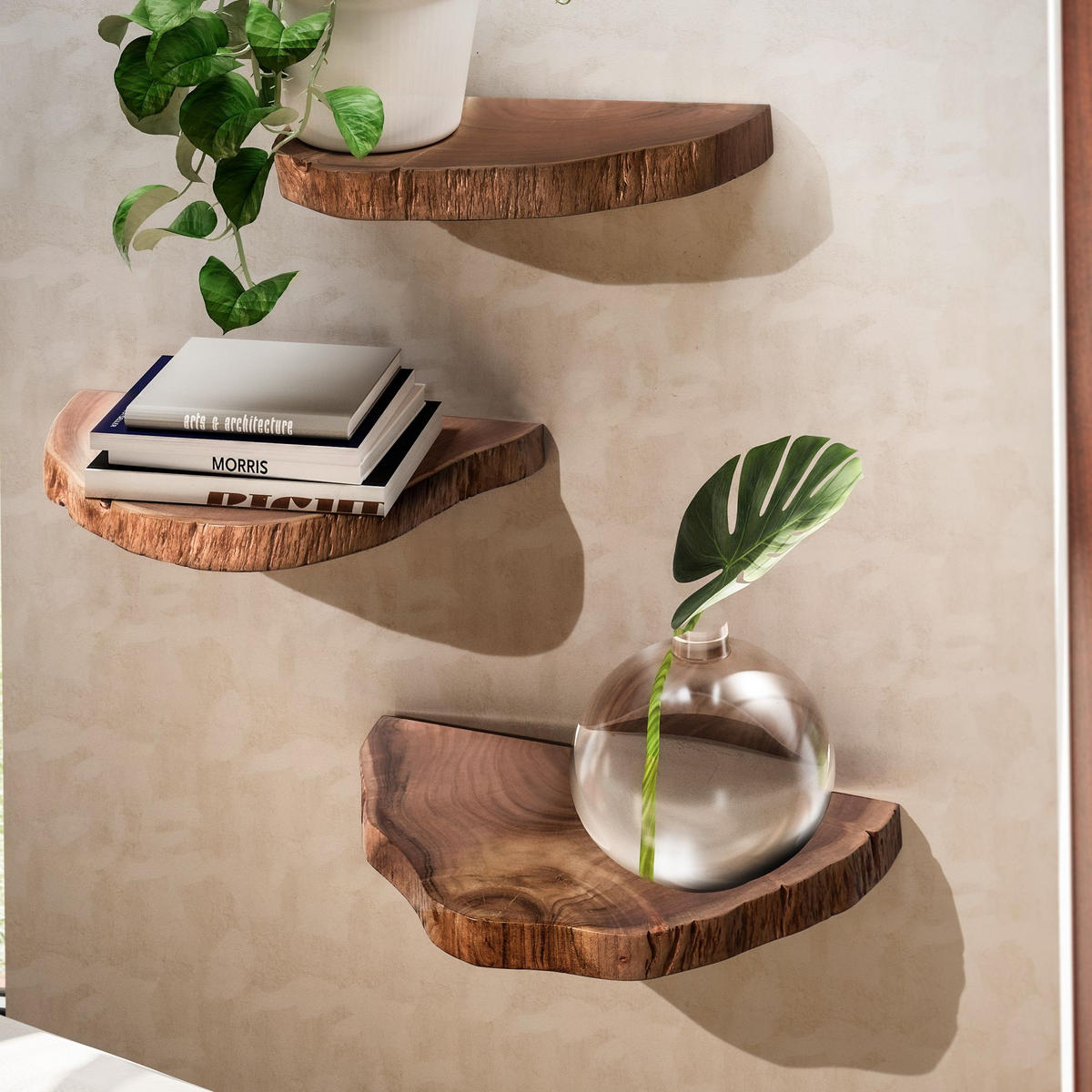 WANDREGAL Akazie Massivholz Modern Stil 3er Set Baumscheibe mit Baumkante - Akaziefarben, Holz (47/4/25cm) - KADIMA DESIGN