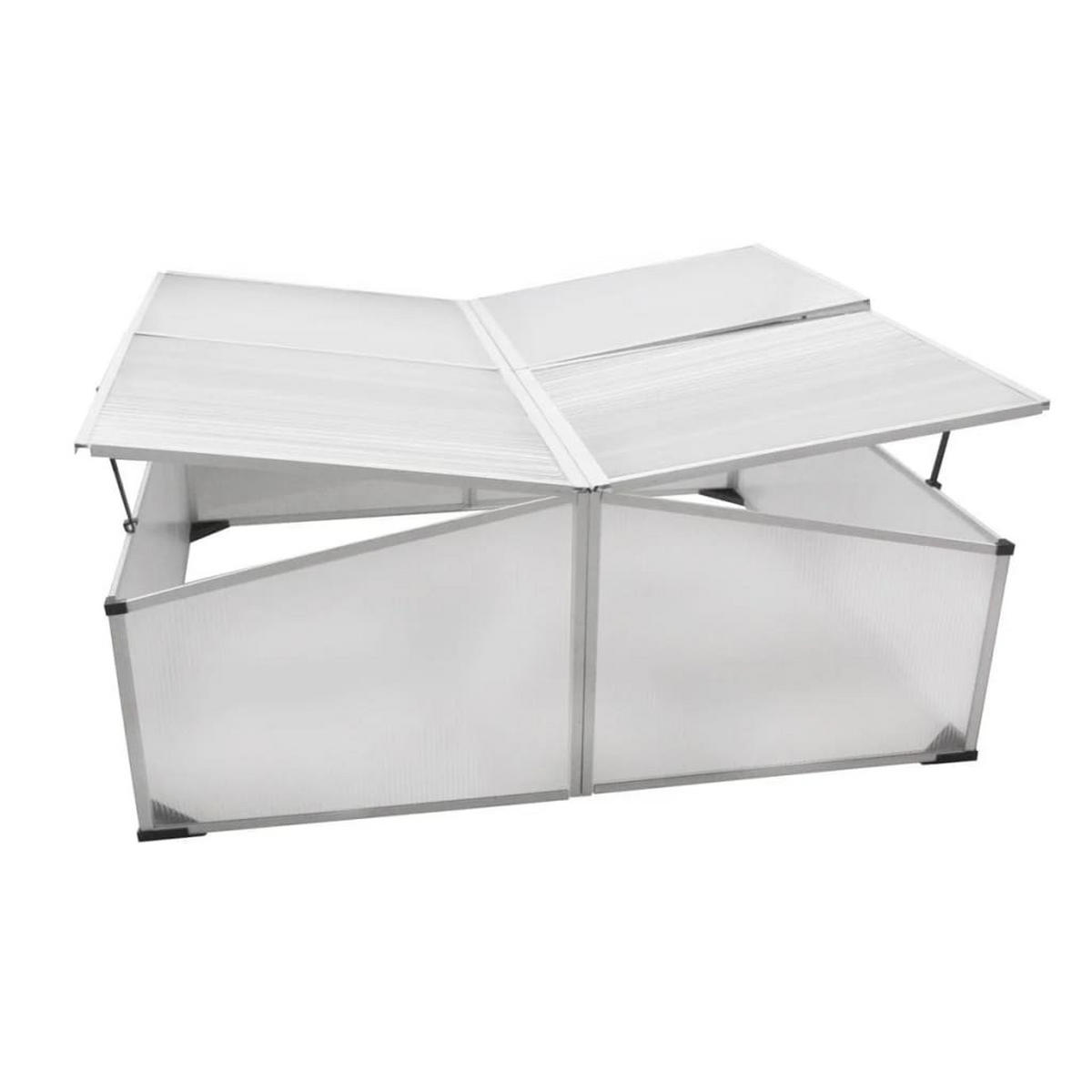 FRÜHBEET mit 4 Deckeln - Transparent, Kunststoff (108/41/110cm) - furnicato
