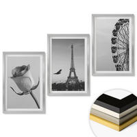 WANDBILDER 3er Set - 40x60 cm Silberner Rahmen - Rose Eiffelturm Riesenrad - Silberfarben, Kunststoff (40/60cm) - ArtPrintCave