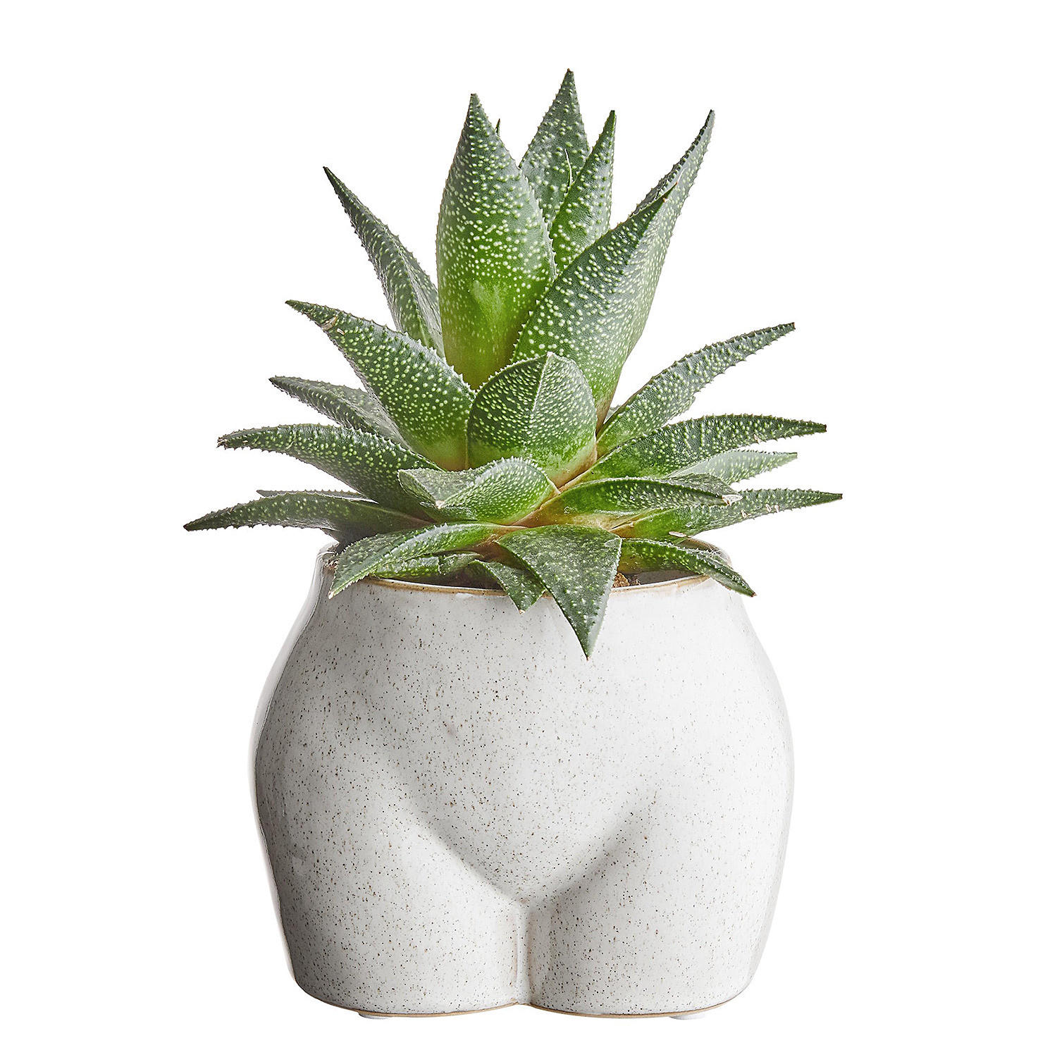 BLUMENTOPF Botty - Beige, Keramik (14cm) - BUTLERS