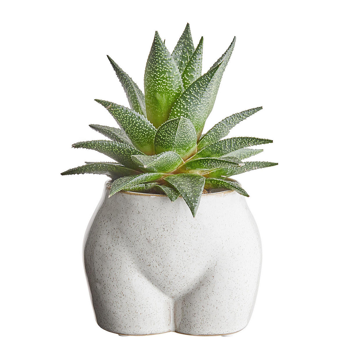 BLUMENTOPF Botty - Beige, Keramik (14cm) - BUTLERS