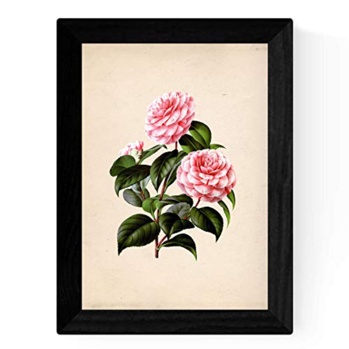 POSTER Set mit 4 Botanische Papier Hintergrund Rosa Blumen A3 Rahmenlos - Klar, Papier (29.7/3cm) - Nacnic