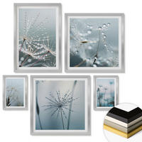 WANDBILDER 5er Set - 50x50 cm & 20x30 cm & 40x60 cm Silberner Rahmen - Tautropfen auf Löwenzahn - Silberfarben, Kunststoff (40/60cm) - ArtPrintCave