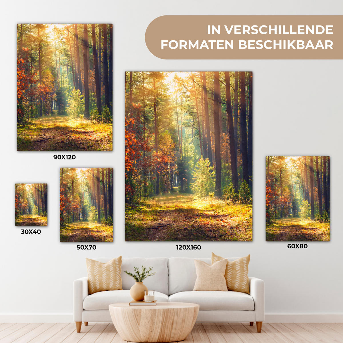 LEINWANDBILD Wald - Herbst - Bäume Wandbild Wohnzimmer 60x80 cm - Dunkelgrün, Textil (60/80cm) - MuchoWow
