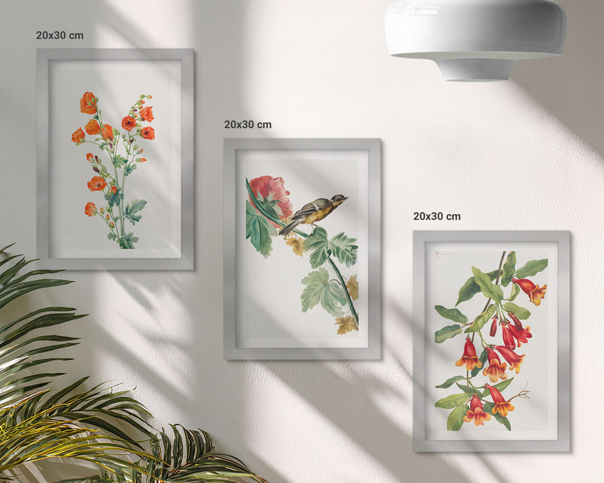BILDER SET 3er Set - 20x30 cm Silberner Rahmen - Gemalte Blumen und ein Vogel - Silberfarben, Kunststoff (20/30cm) - TULUP