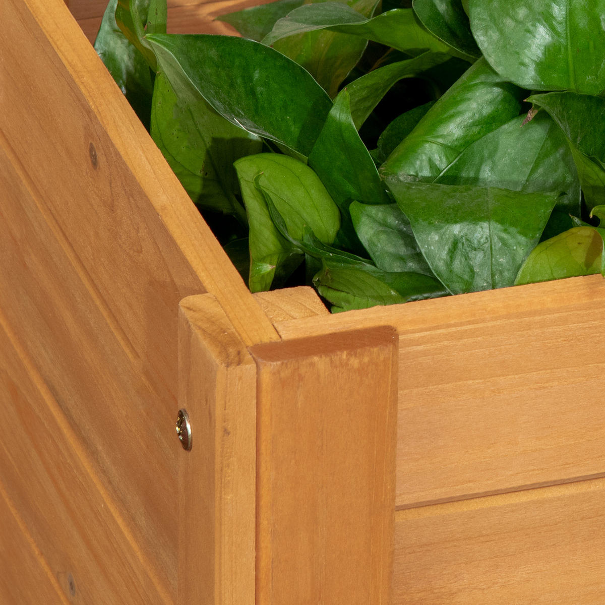 HOCHBEET DE-12117 mit Rankgitter quadratisch 54,5/52/180 cm Natur - Braun, Holz (54.5/180/52cm) - ComfortXL