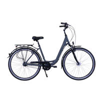 CITYBIKE City Wave Deluxe Plus Grey 7 Gang 26 Zoll 44cm & 28 Zoll 46cm - Grau, Metall (44cm) - Hawk Bikes