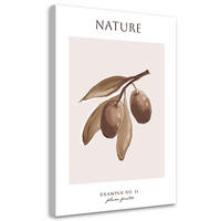 WANDBILD pflaumenfrucht natur - Beige, Textil (40/60cm) - Feeby