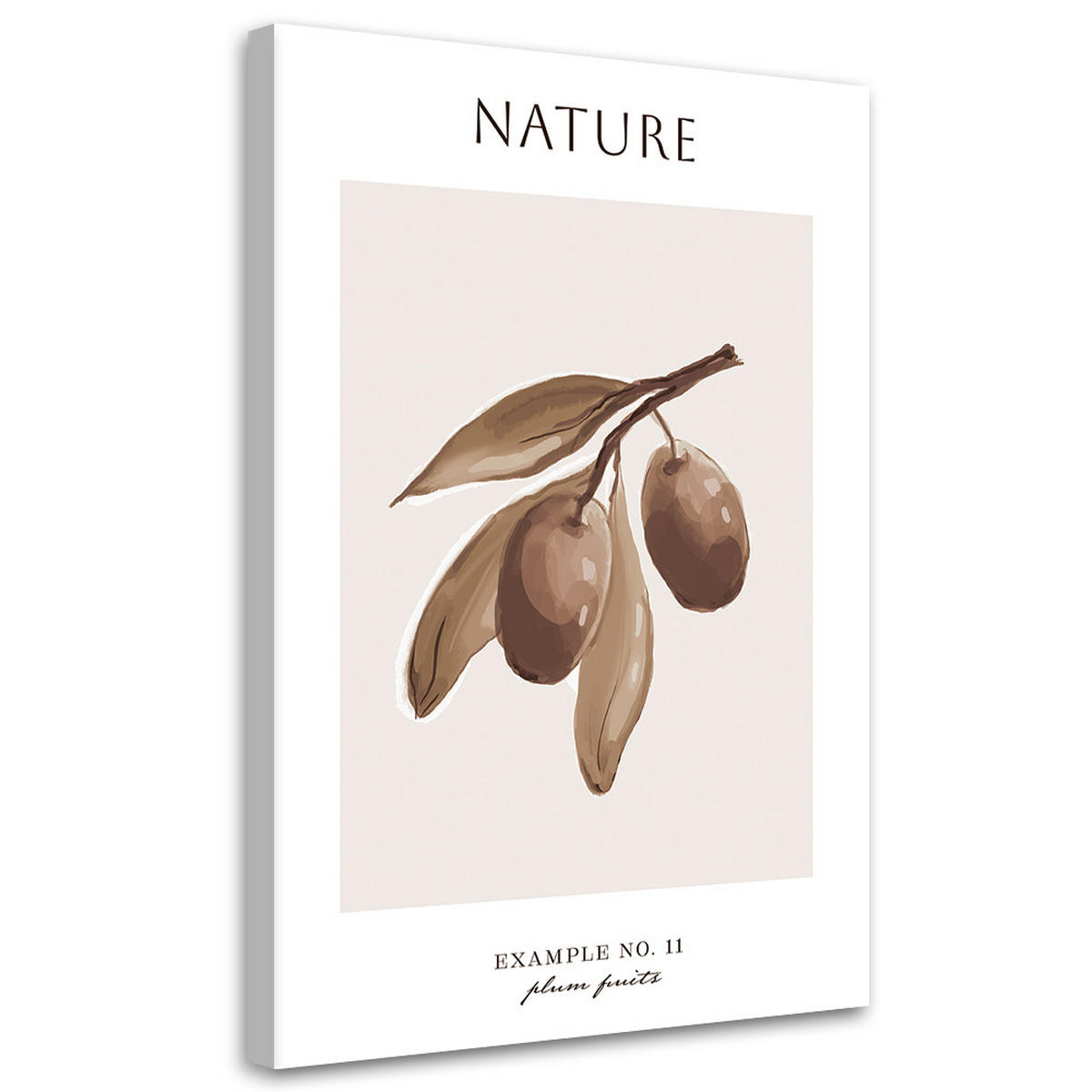 WANDBILD pflaumenfrucht natur - Beige, Textil (40/60cm) - Feeby