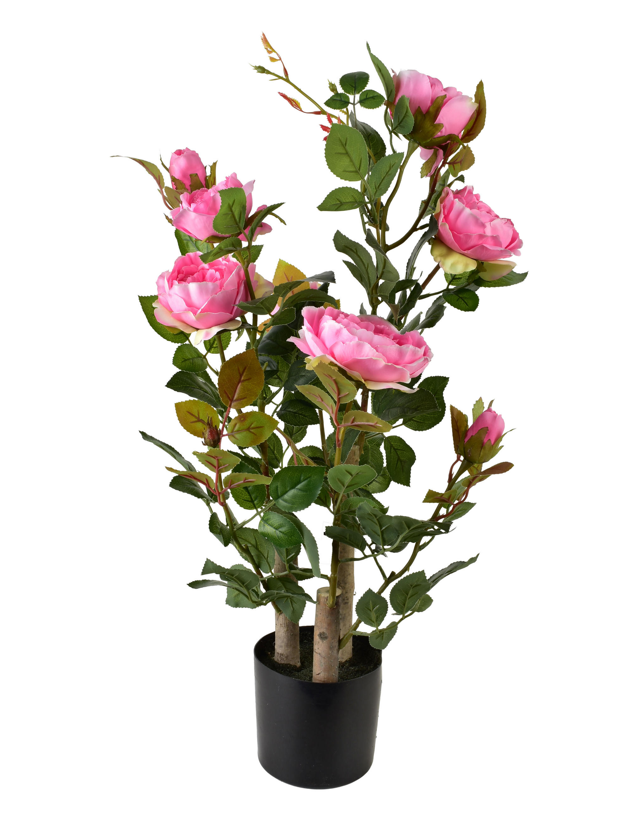 KUNSTBLUME Viridis Rosa 13x13x68 cm Kunststoff - Rosa, Kunststoff (68cm) - Mondex