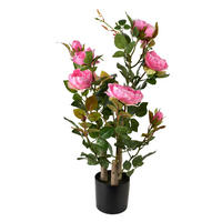 KUNSTBLUME Viridis Rosa 13x13x68 cm Kunststoff - Rosa, Kunststoff (68cm) - Mondex