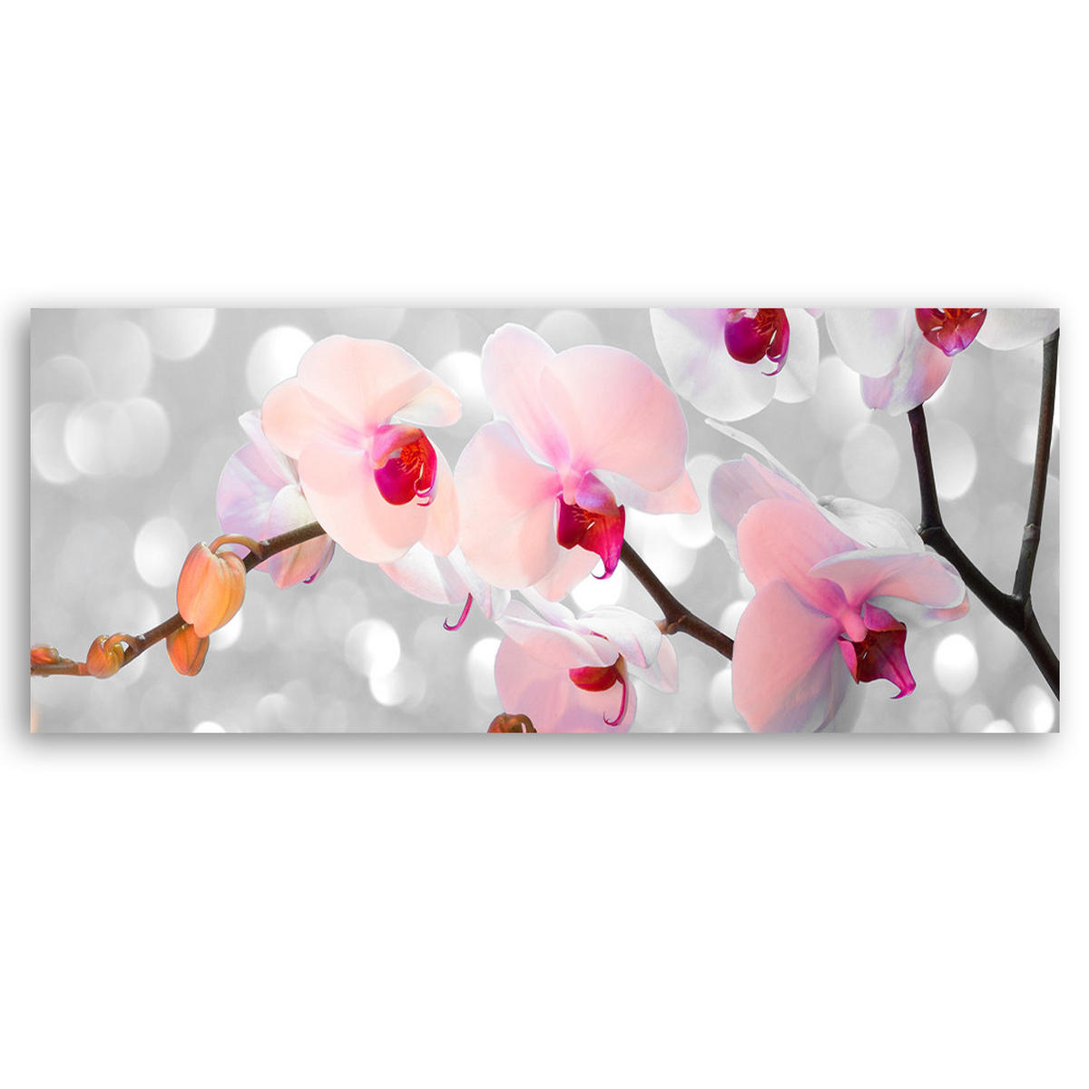 WANDBILD orchideenblüten natur - Pink, Textil (90/30cm) - Feeby