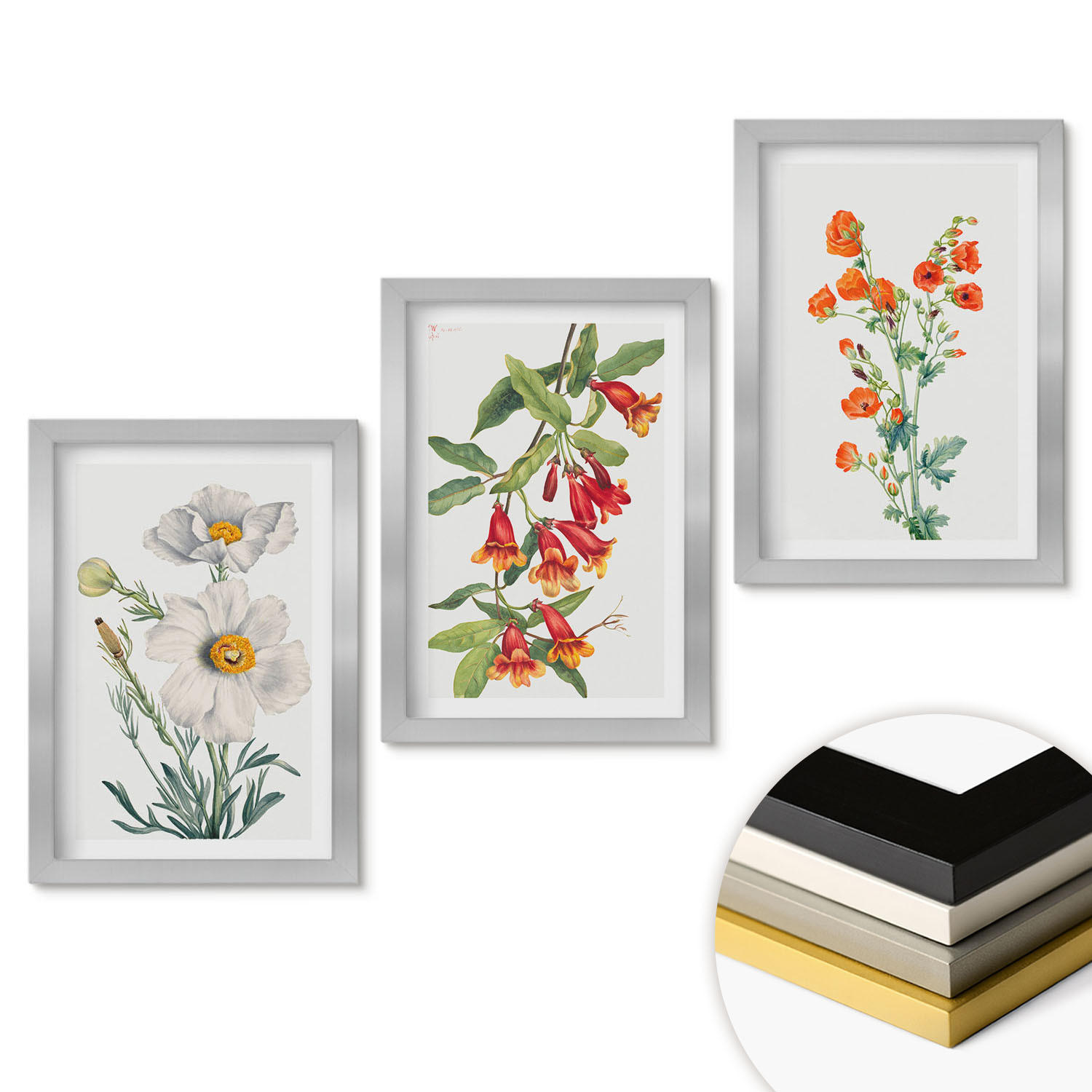 WANDBILDER 3er Set - 20x30 cm Silberner Rahmen - Retro-Blumenarrangements - Silberfarben, Kunststoff (20/30cm) - ArtPrintCave
