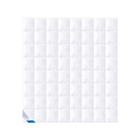 GANZJAHRESBETTDECKE EXQUISIT - 100% GÄNSEDAUNEN - Weiß, Naturmaterialien/Textil (200/200cm) - Böhmerwald