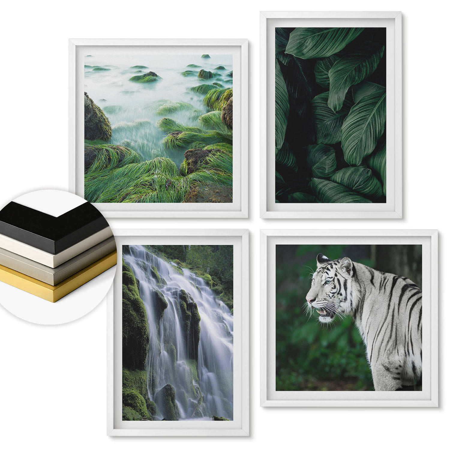 WANDBILDER 4er-Set - 50x50 cm & 40x60 cm Weißer Rahmen - Blätter des Weißen Tigerwasserfalls - Weiß, Kunststoff (50/50cm) - ArtPrintCave