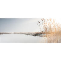 GLASBILD 125x50 cm Landschaft See beige - Beige, Glas (125/50cm) - artissimo