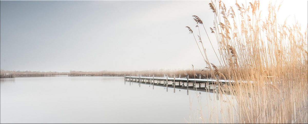 GLASBILD 125x50 cm Landschaft See beige - Beige, Glas (125/50cm) - artissimo