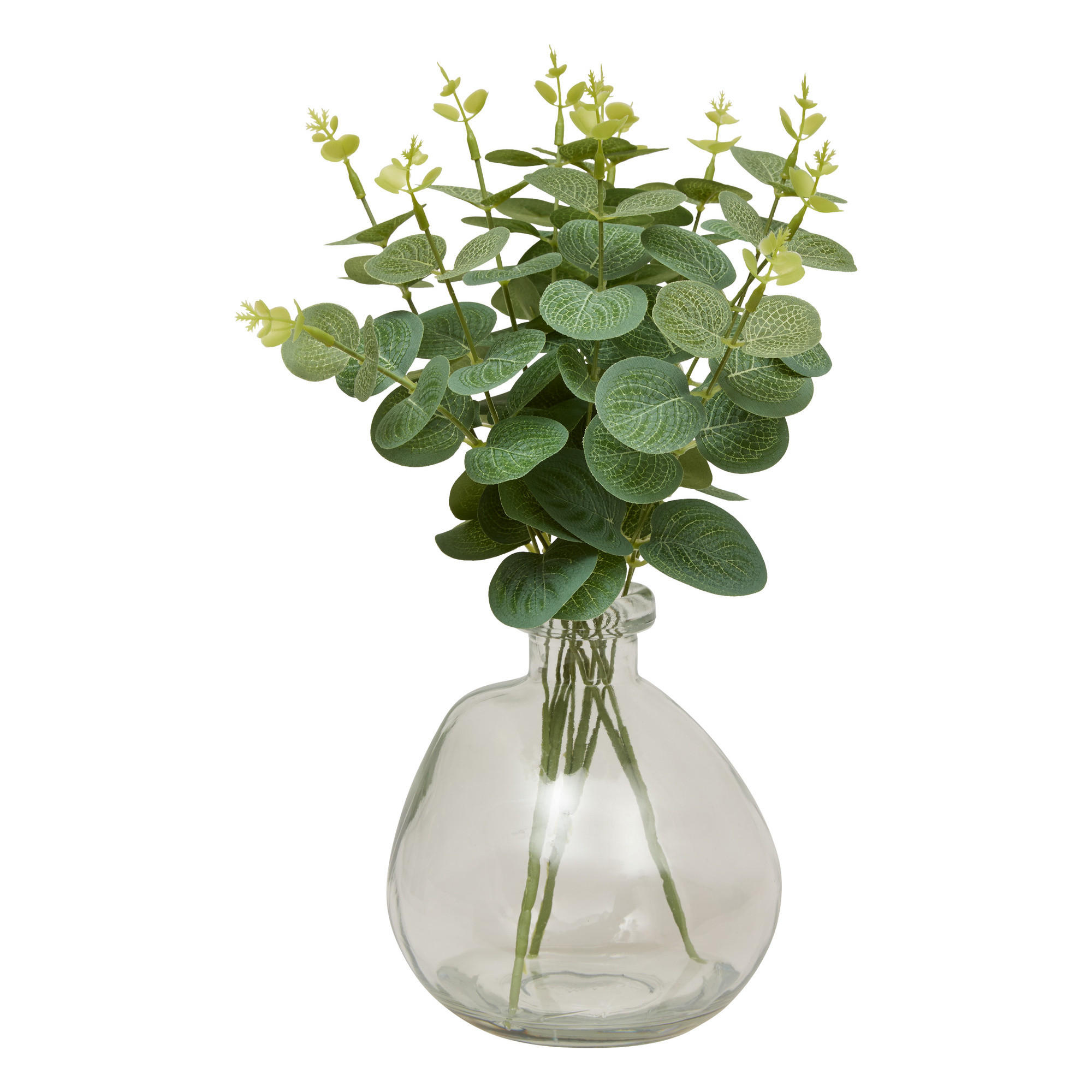 Atmosphera Createur d´interieur Eukalyptus-Komposition Transparent 35 cm