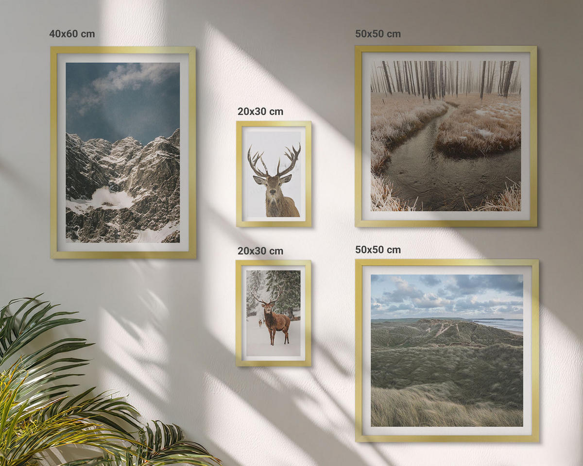 WANDBILDER 5er Set - 50x50 cm & 20x30 cm & 40x60 cm Goldrahmen - Berge, Schnee, Hirsche, Waldlandschaft - Goldfarben, Kunststoff (40/60cm) - ArtPrintCave
