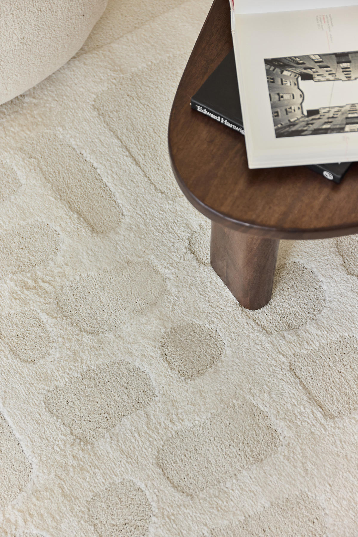 TEPPICH TERRA Creme 200/300 cm - Creme, Textil (200/300cm) - Tapiso