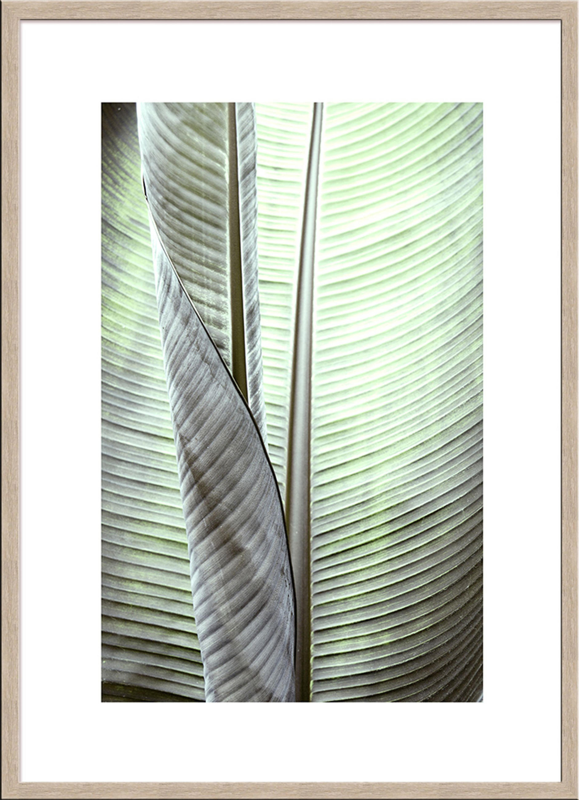 artissimo Poster Beige 51x71 cm