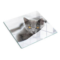 GLASPLATTE 60x52 cm Graue Katze - Grau, Glas (60/52cm) - TULUP