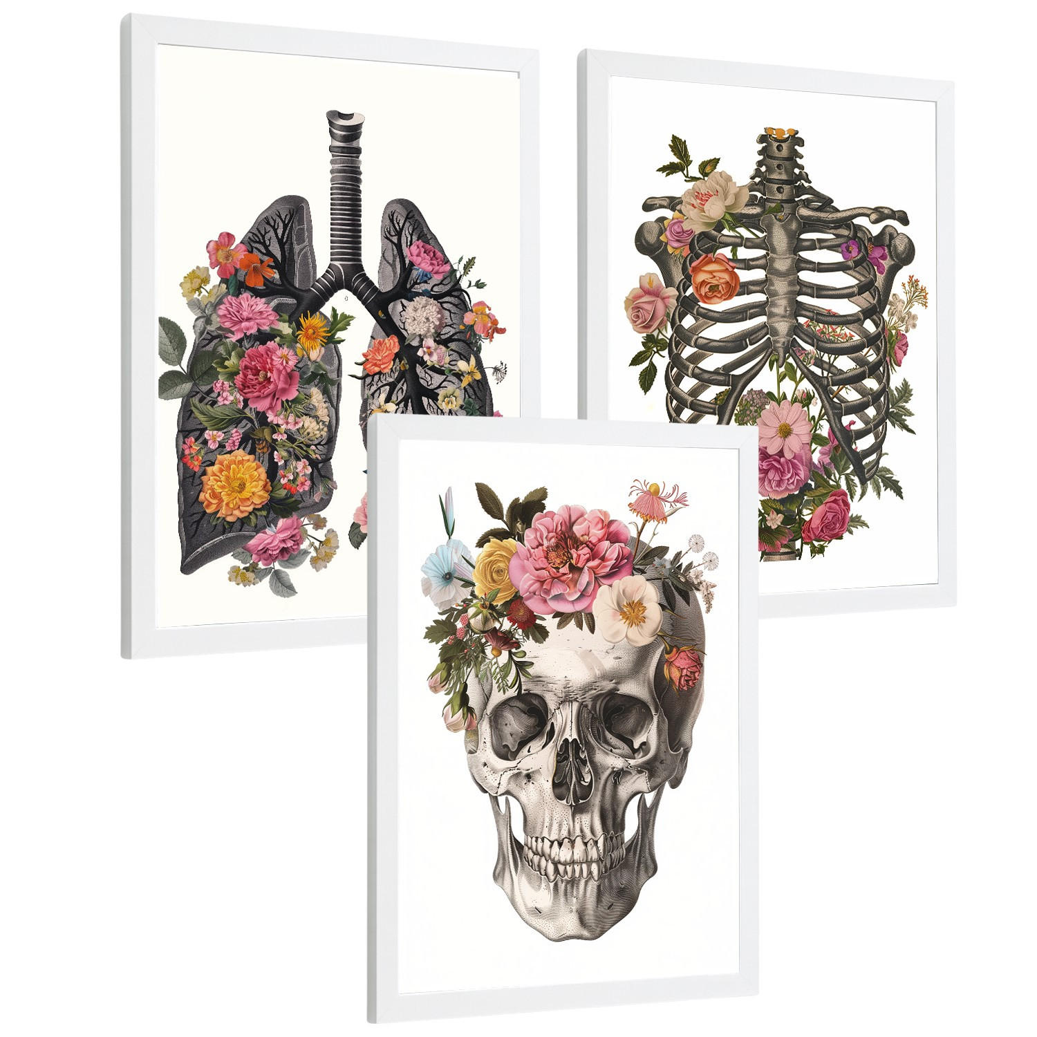 POSTER Set aus 3 Anatomie Mensch Drucke und mit Lungen Luftröhre Bronchien Rippen Wirbelsäule und Schädel Modernes Florales Größe Weißer Rahmen A3 - Weiß, Papier (29.7/42/3cm) - Nacnic
