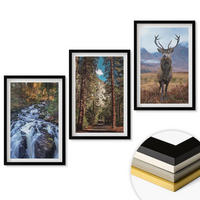 WANDBILDER 3er-Set - 40x60 cm Schwarzer Rahmen - Wasserfall Wald Berge Hirsch Natur - Schwarz, Kunststoff (40/60cm) - ArtPrintCave