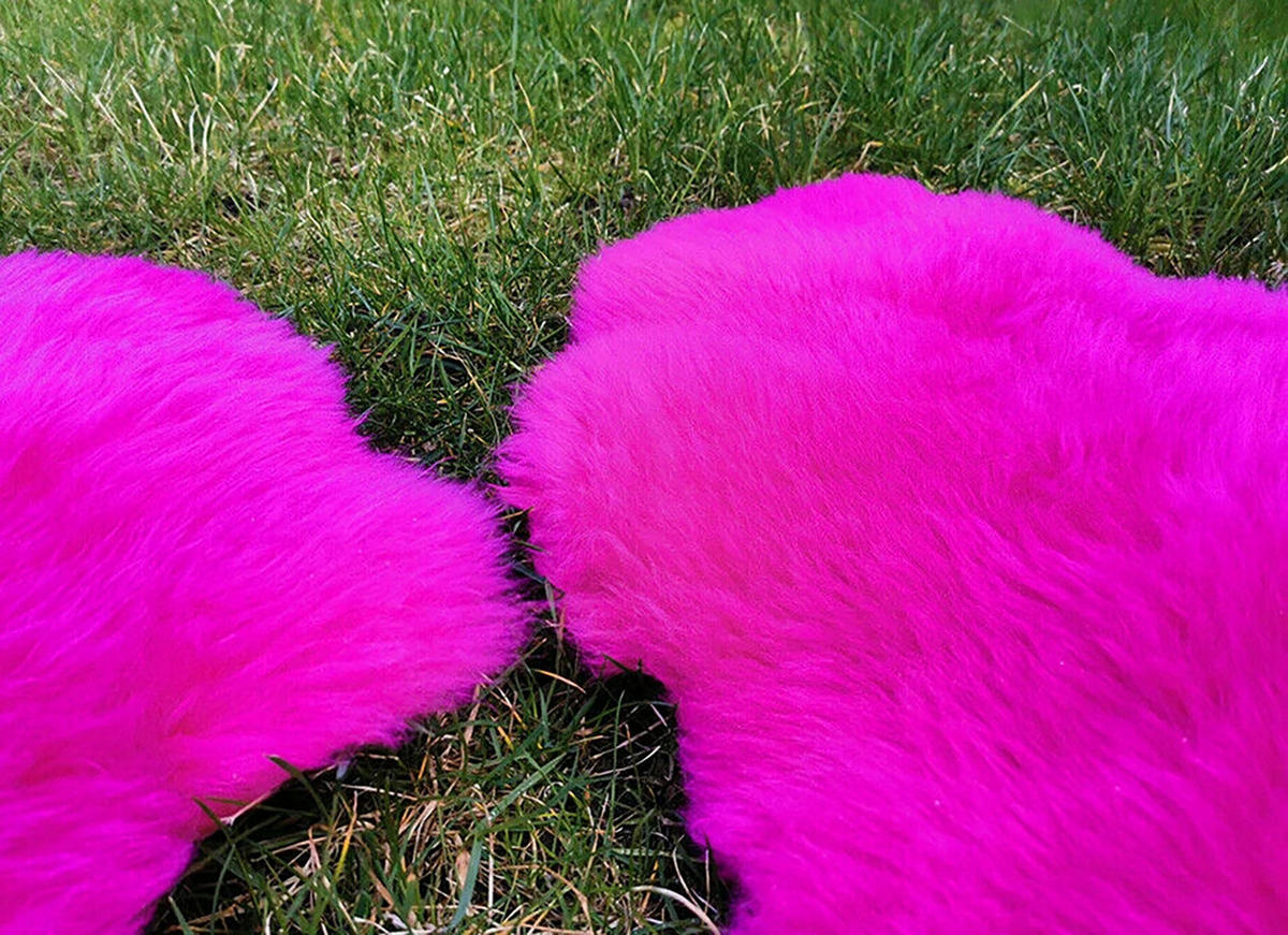 LAMMFELL Öko bunt gefärbt weich Fell Teppich Fuchsia ca. 110 cm - Magenta, Fell (60/110cm) - Provellus