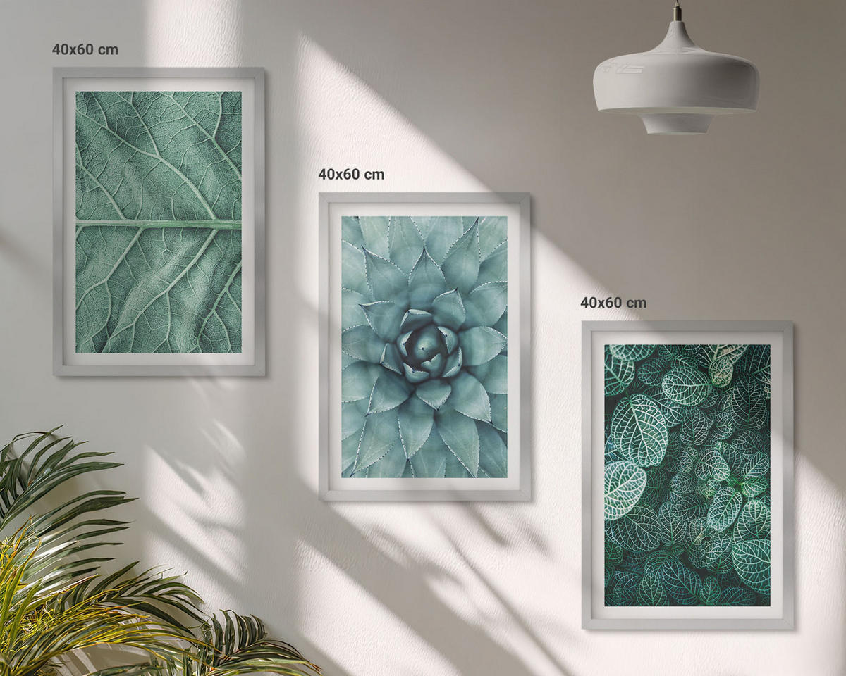 BILDER SET 3er Set - 40x60 cm Silberner Rahmen - Nahaufnahme von Pflanzenblättern - Silberfarben, Kunststoff (40/60cm) - TULUP