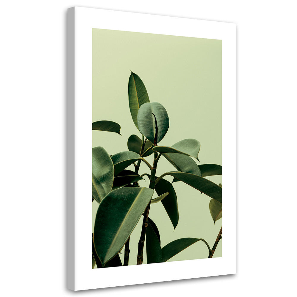 WANDBILD grünpflanze natur - Grün, Textil (40/60cm) - Feeby