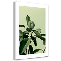 WANDBILD grünpflanze natur - Grün, Textil (40/60cm) - Feeby