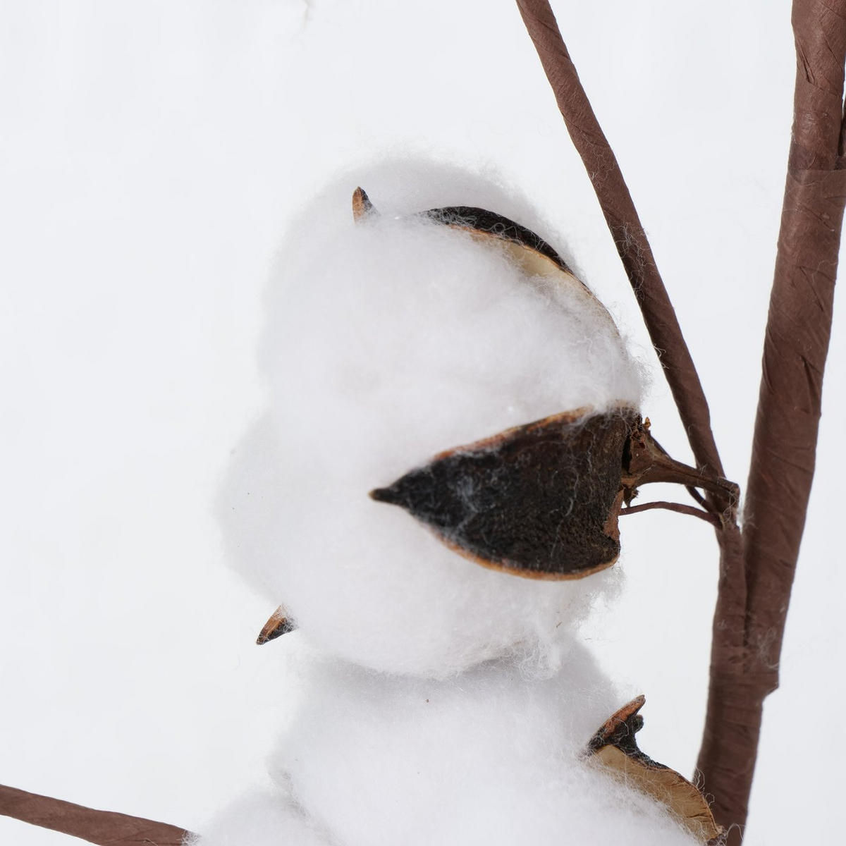 BAUMWOLLZWEIG künstlich 68 cm - Weiß, Naturmaterialien (68cm) - Boltze Home