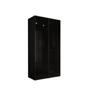 KLEIDERSCHRANK, Graphitschwarz / Antisol Glas, 100 x 200 x 51 cm - Graphitfarben/Schwarz, Holzwerkstoff (100/200/51cm) - 3XE LIVING