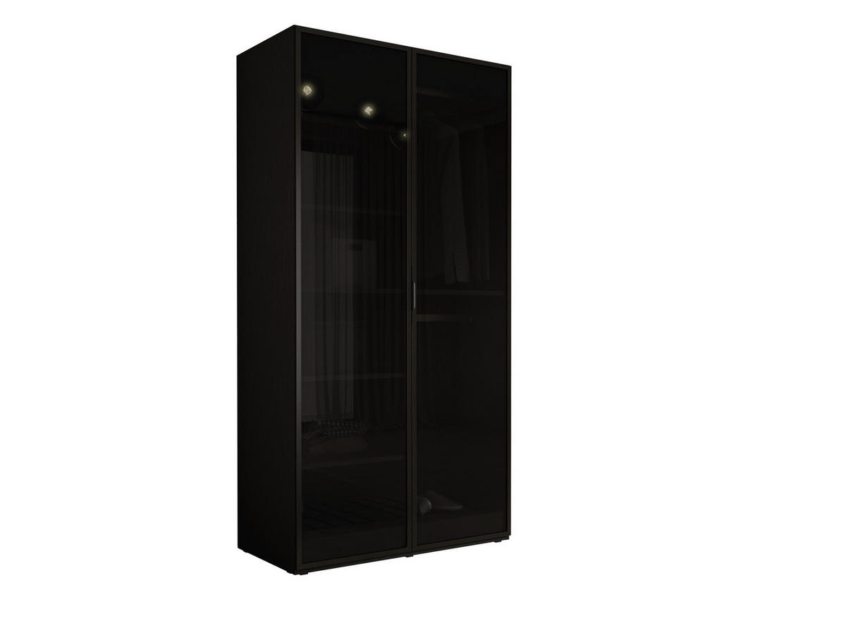 KLEIDERSCHRANK, Graphitschwarz / Antisol Glas, 100 x 200 x 51 cm - Graphitfarben/Schwarz, Holzwerkstoff (100/200/51cm) - 3XE LIVING