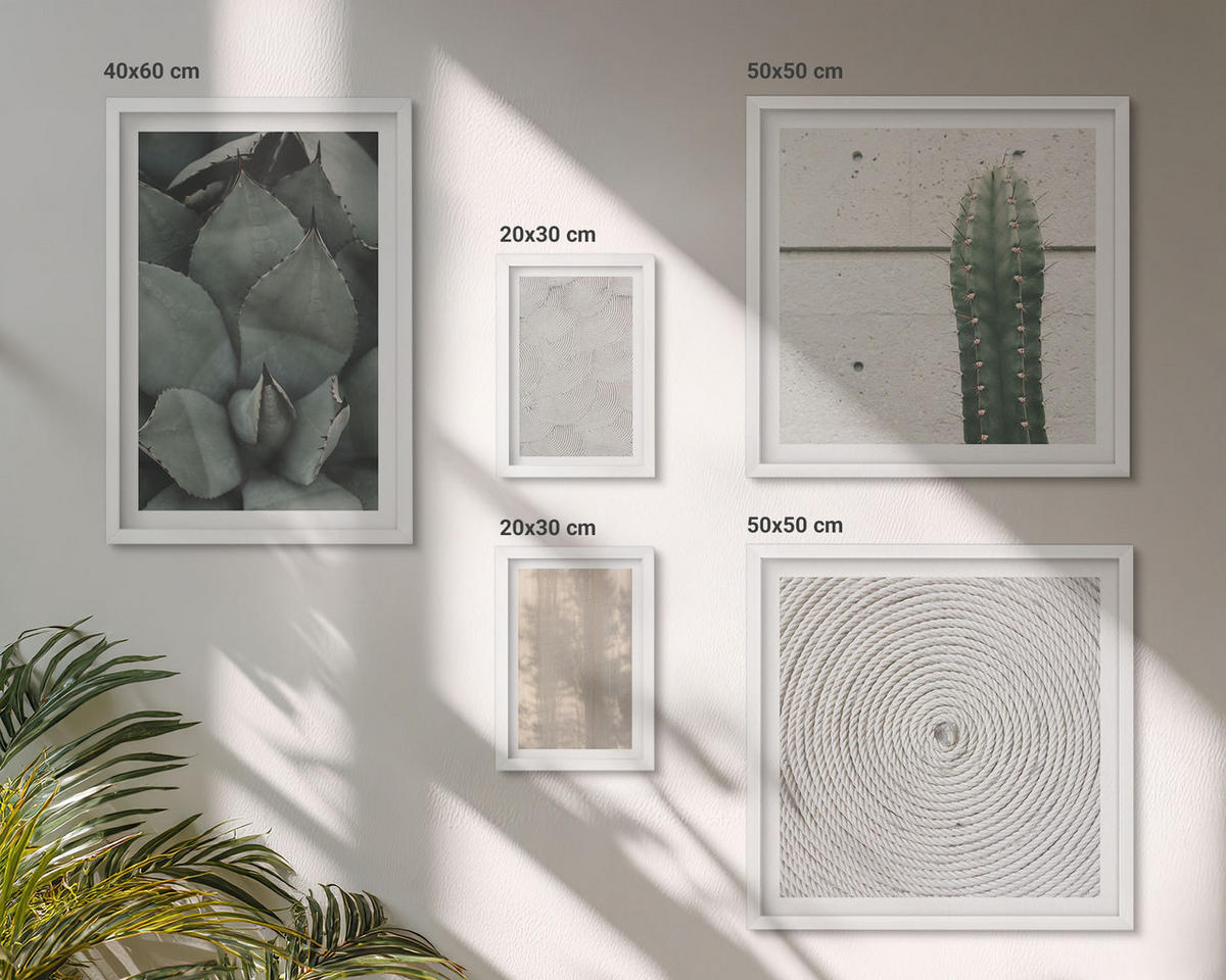 BILDER SET 5er Set - 50x50 cm & 20x30 cm & 40x60 cm Weißer Rahmen - Sommerliche Texturen aus den Tropen - Weiß, Kunststoff (40/60cm) - TULUP