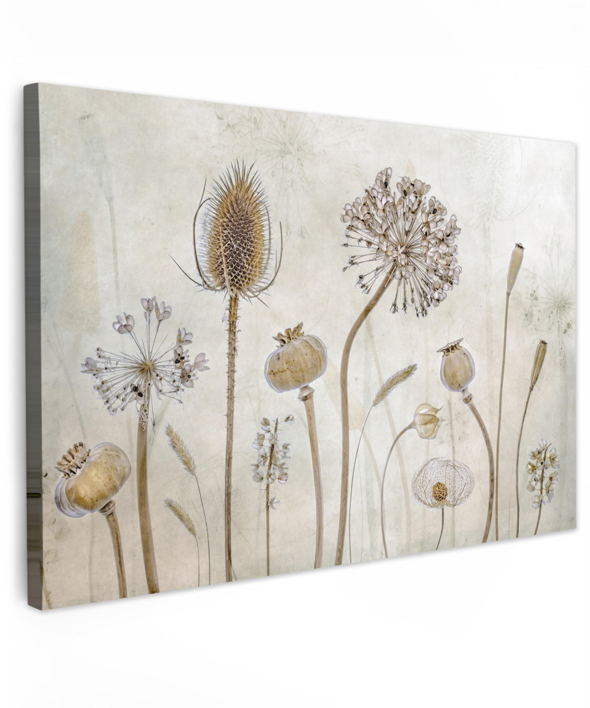LEINWANDBILD Blumen - Aquarell - Stilleben - Braun - Vintage Deko Schlafzimmer 30x20 cm - Beige, Textil (30/20cm) - MuchoWow