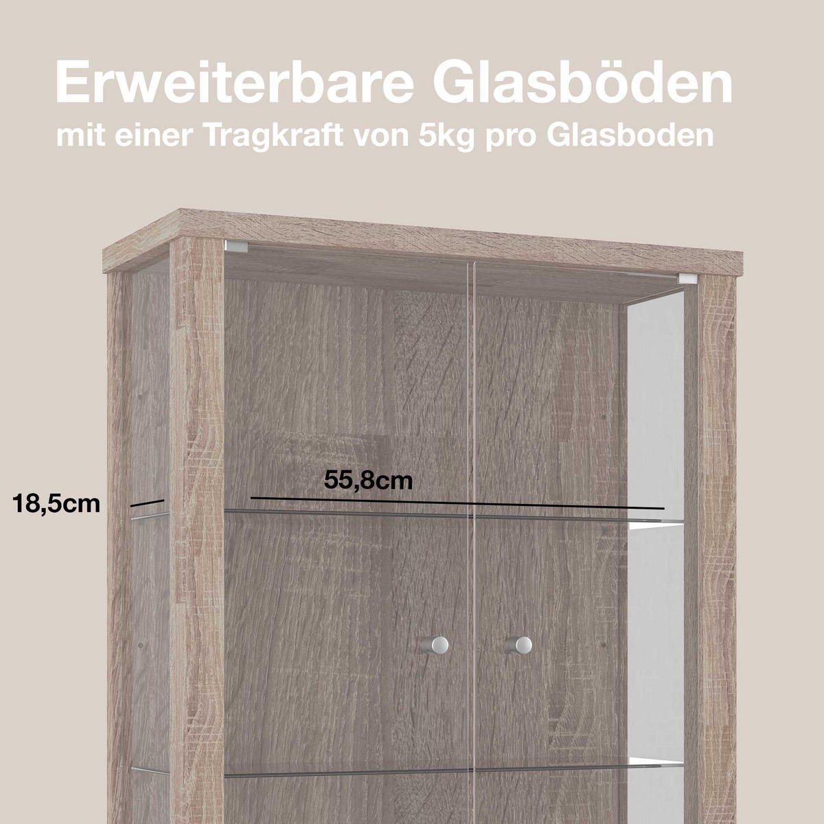 HÄNGEVITRINE 25/60/80 cm mit 2 höhenverstellbaren Glasböden - Transparent/Silberfarben, Glas/Holzwerkstoff (60/80/25cm) - K-Möbel
