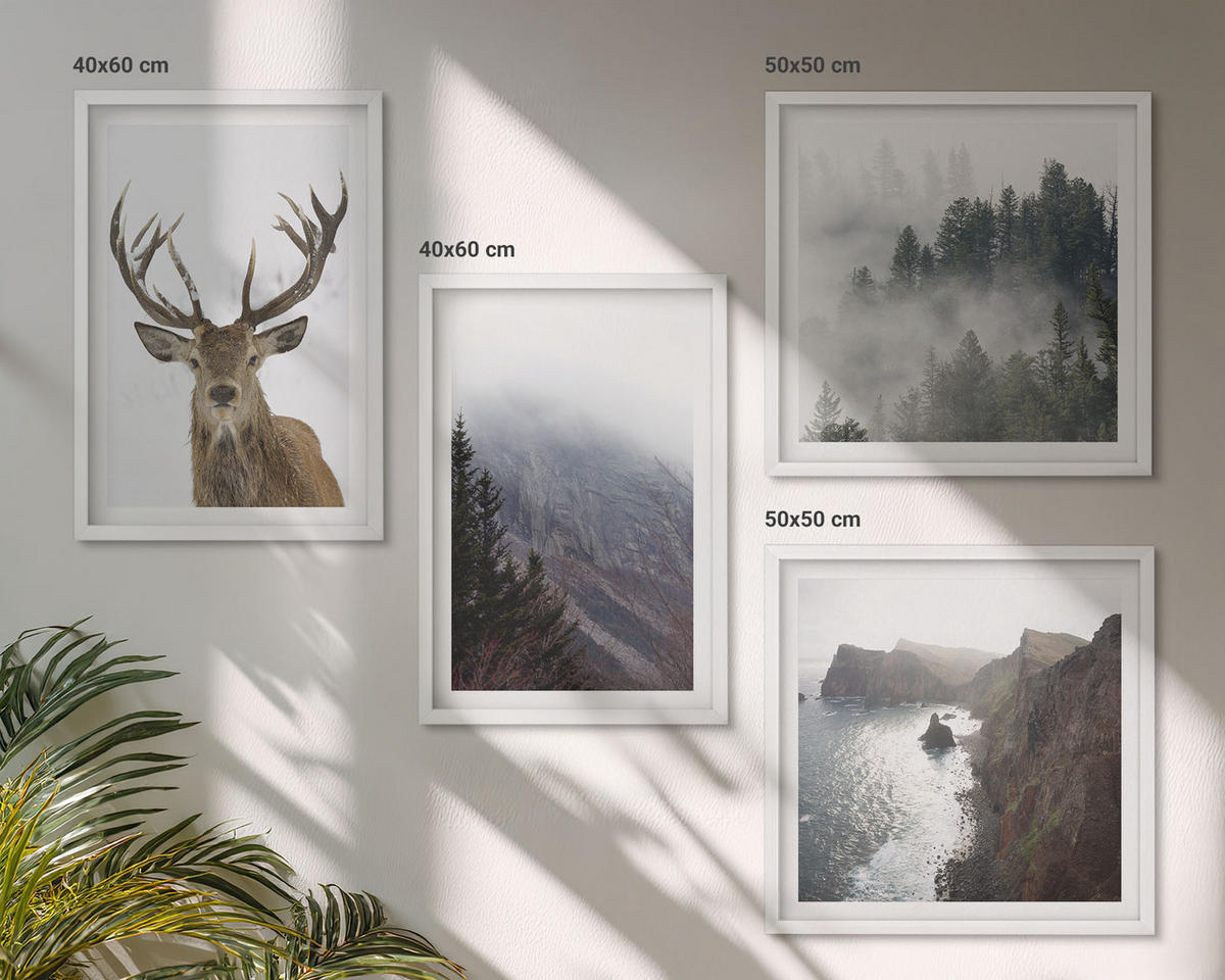 BILDER SET 4er Set - 50x50 cm & 40x60 cm Weißer Rahmen - Berglandschaft Nebel Hirsch - Weiß, Kunststoff (50/50cm) - TULUP