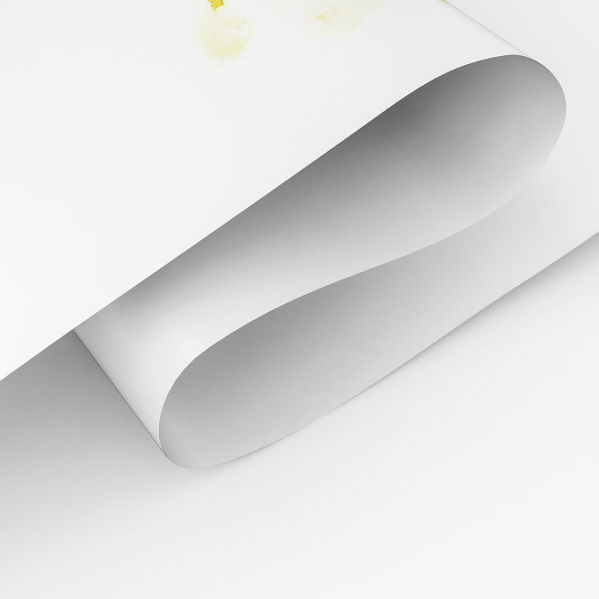 POSTER SET für Kinderzimmer TIERE Sterne Krokodil Delfin Pinguin A4 21x30cm - Gelb/Schwarz, Papier (21/30/1cm) - Muralo