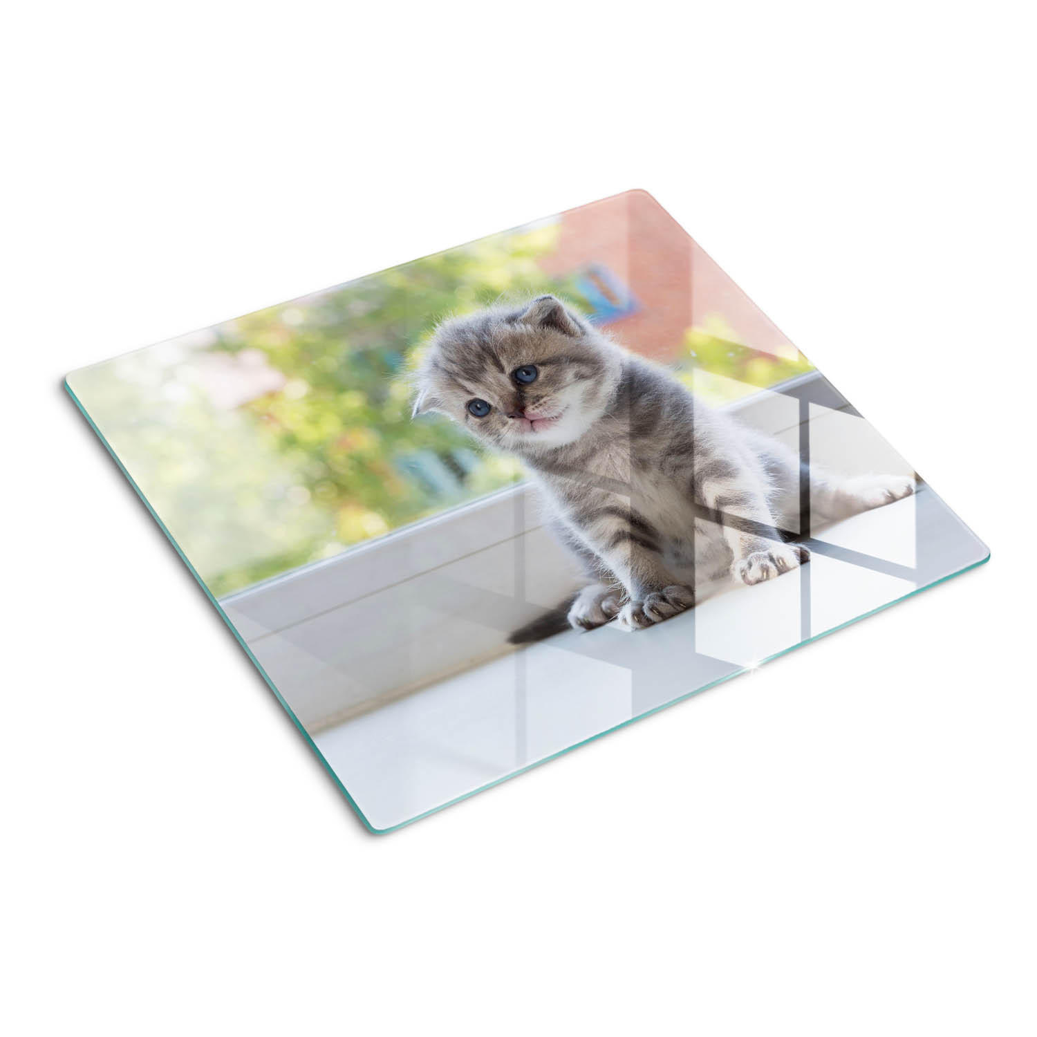 GLASPLATTE 60x52 cm Kleines Fenster für die Katze - Greige, Glas (60/52cm) - TULUP