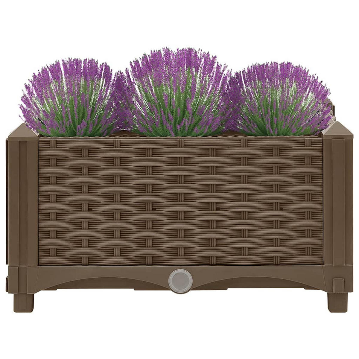 HOCHBEET 40x40x23 cm Polypropylen - Braun, Kunststoff (40/23/40cm)