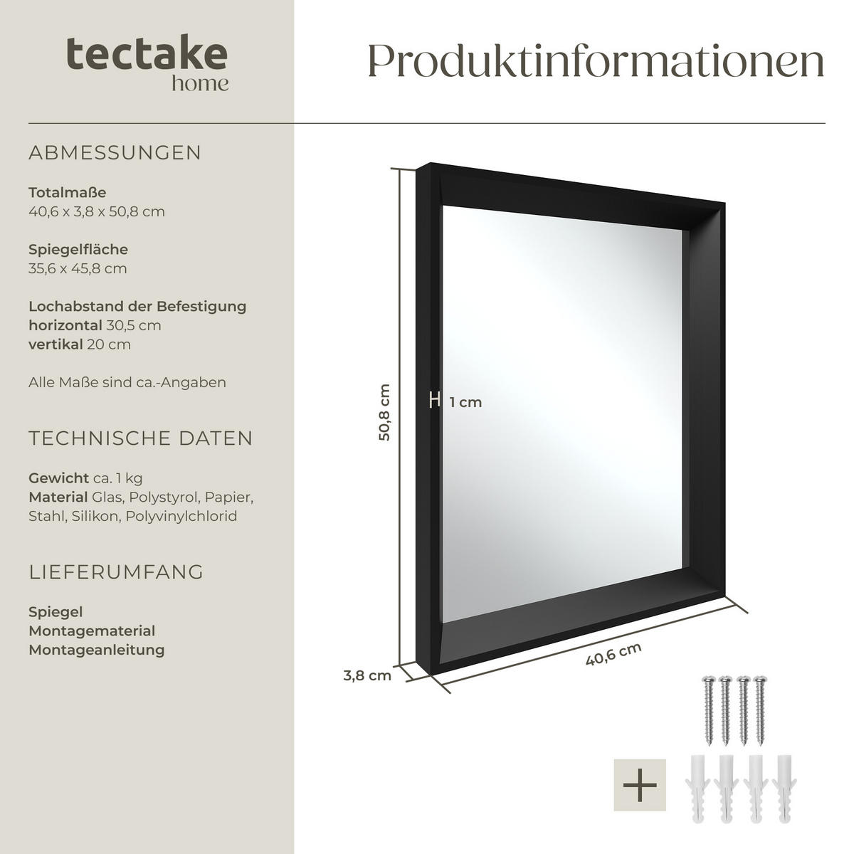 RECHTECKIGER WANDSPIEGEL Elina,integrierte Befestigungshaken,schwarz - Schwarz, Glas (40.6/50.8/3.8cm) - tectake