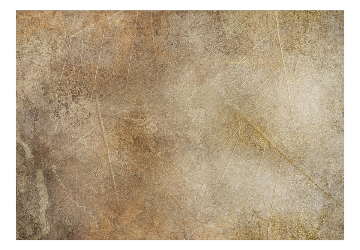 VLIESTAPETE Braun 450/315 cm - Braun, Textil (450/1cm) - KUNSTLOFT