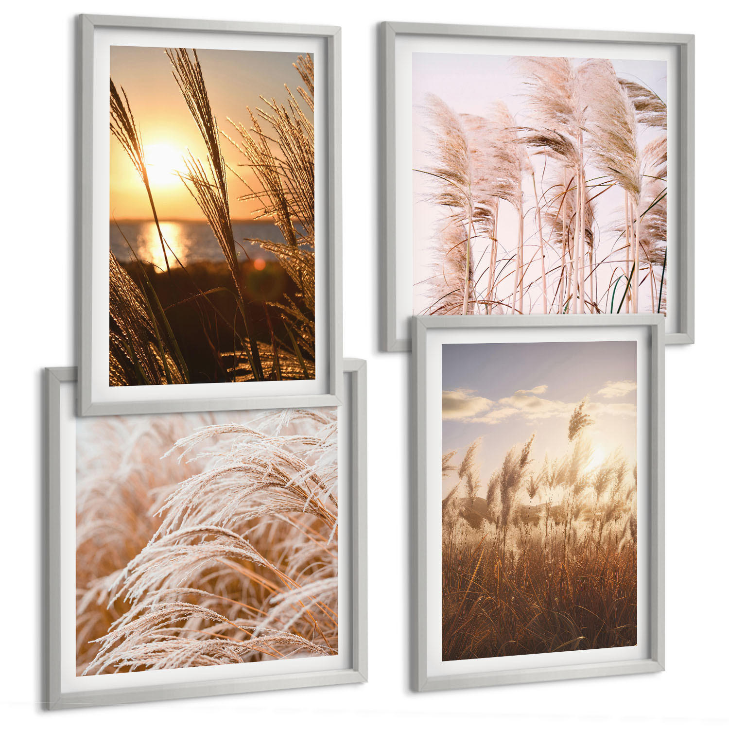 BILDER SET 4er Set - 50x50 cm & 40x60 cm Silberner Rahmen - Boho-Grasfeld-Sonnenuntergang - Silberfarben, Kunststoff (50/50cm) - TULUP