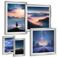 BILDER SET 5er Set - 50x50 cm & 20x30 cm & 40x60 cm Silberner Rahmen - Nachthimmel Berge Nebel Hirsch - Silberfarben, Kunststoff (40/60cm) - TULUP