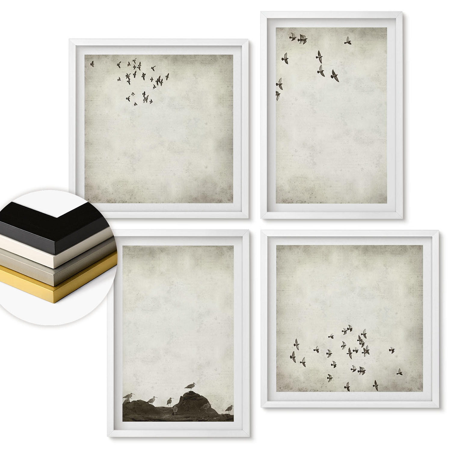 WANDBILDER 4er-Set - 50x50 cm & 40x60 cm Weißer Rahmen - Minimalistische Vogelmalerei - Weiß, Kunststoff (50/50cm) - ArtPrintCave