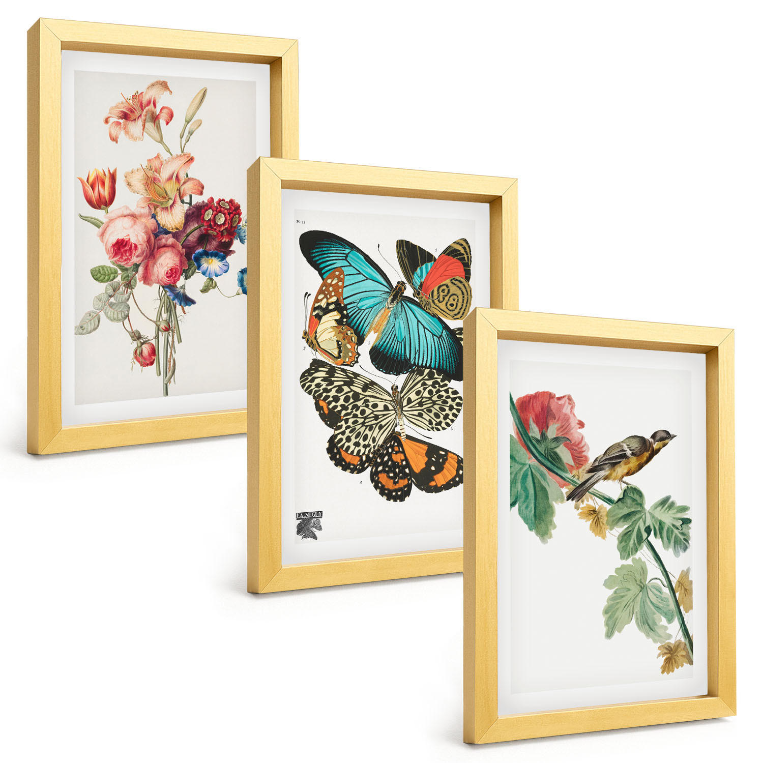 BILDER SET 3er Set - 20x30 cm Goldrahmen - Blumen, Schmetterlinge, Vögel, Pastellfarben - Goldfarben, Kunststoff (20/30cm) - TULUP